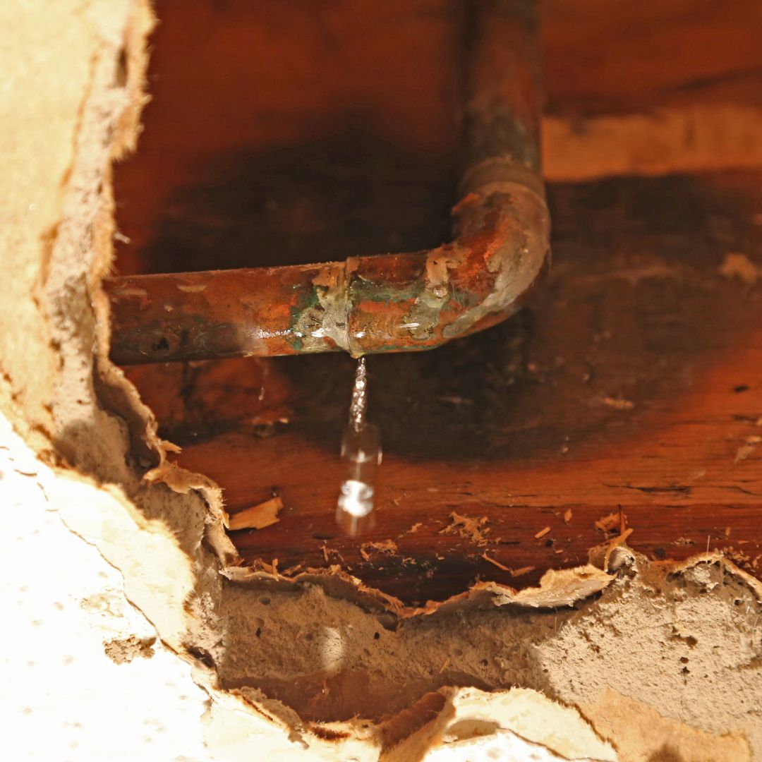 Leak Detection How to Find and Fix Leaks in Your Plumbing System